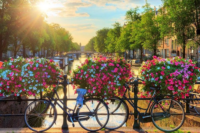 Amsterdam Day Trip from Brussels - Comfort, weather, and practical tips that save your day