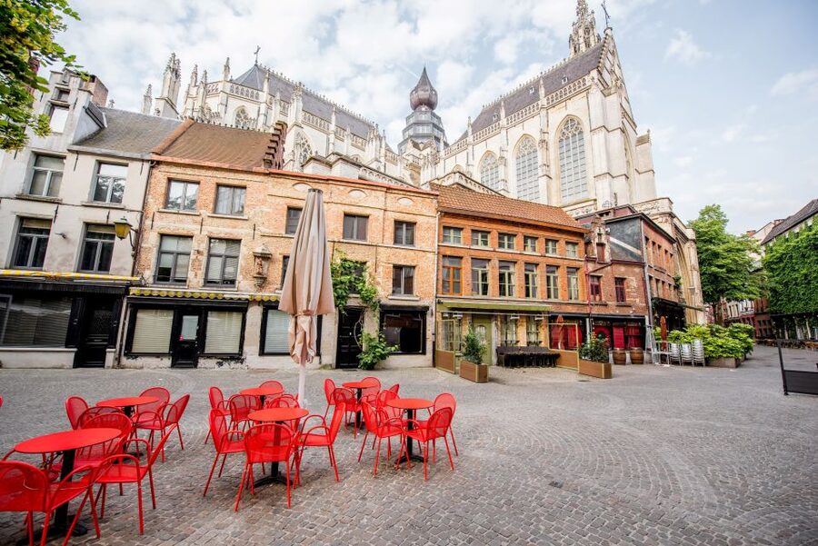 Antwerp: Express Walk with a Local in 60 minutes - Cathedral of Our Lady to Rubenshuis, the landmarks with real context