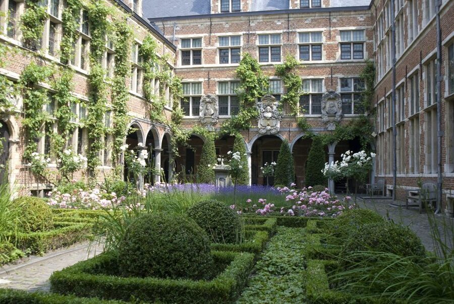 Antwerp: Private Historical Highlights Walking Tour - Grote Markt, guild houses, and Brabo Fountain: where Antwerp flexes