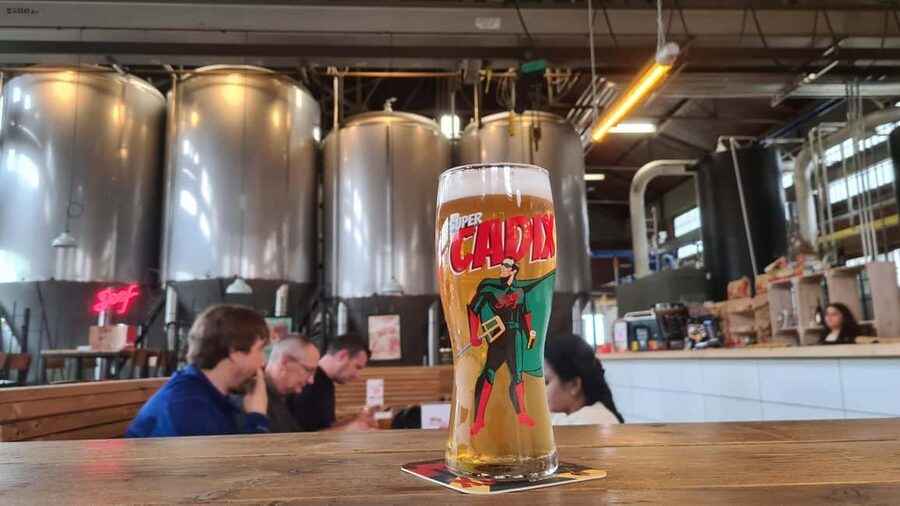 Antwerp: Pub Crawl in the Historical City - Should You Book This Antwerp Historical Pub Crawl?