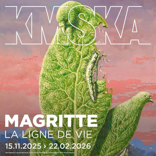 Antwerp: Royal Museum of Fine Arts Entry Ticket - Start with logistics: where to get in and how to get your bearings