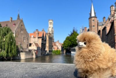 Belgium in a Private Day Antwerp Atomium Brussels with Tastings