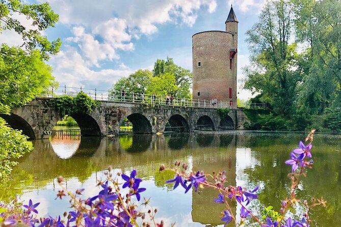 BikeTour Bruges & Damme in Spanish and English - Stop 5, countryside riding along polders, corn fields, and vineyards
