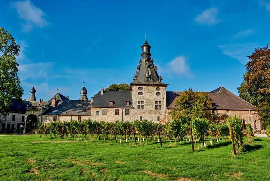 Bioul (near Dinant) : Château de Bioul Tour and Wine Tasting - Entering the château: architecture, statues, and the art of noticing