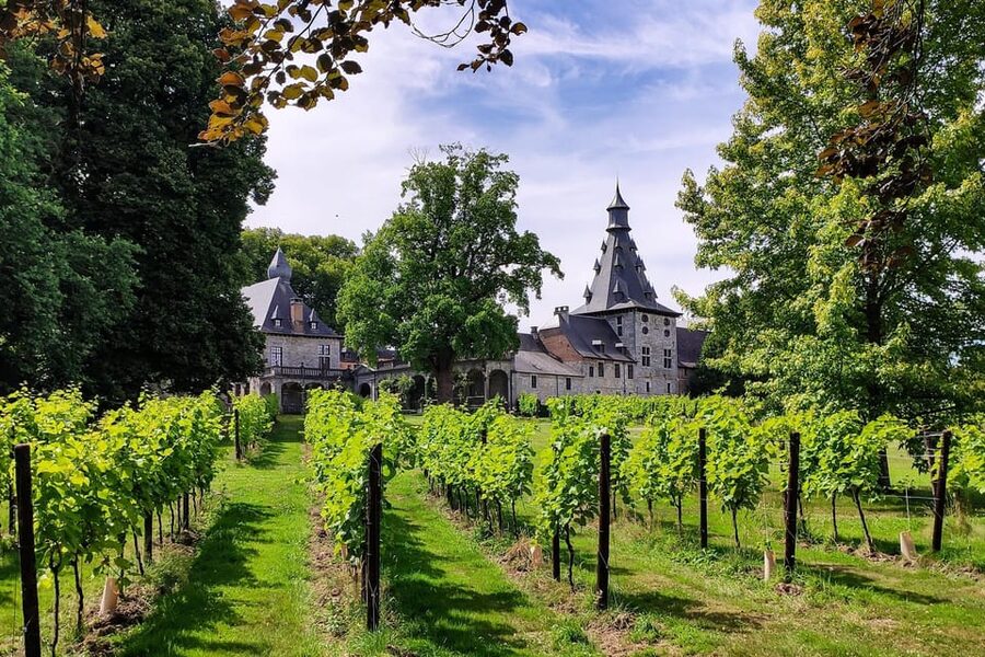Bioul (near Dinant) : Château de Bioul Tour and Wine Tasting - The estate story you will hear, and why it matters