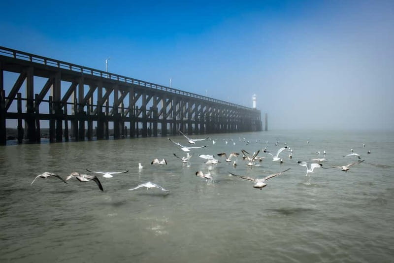 Blankenberge: Offshore Wind Farm Tour by Boat - Comfort and Safety Tips That Make the Day Easier