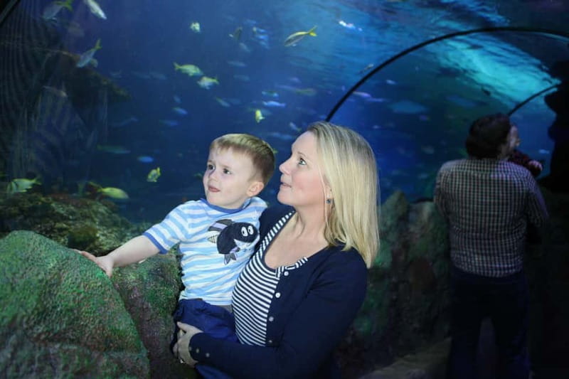 Blankenberge: SEA LIFE Entry Ticket - Blankenberge SEA LIFE Entry Ticket, value for 50-plus aquariums