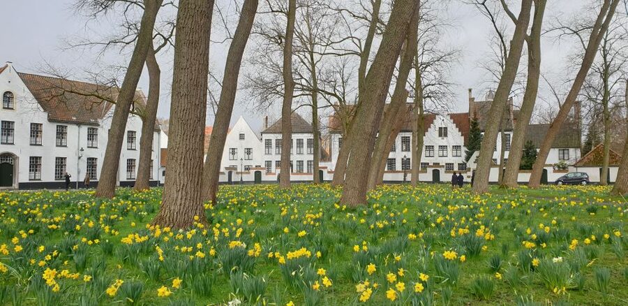 Bruges: 2.5-Hr Walking Tour from train station to Markt - Your 150-minute route from Bargeplein toward the Market Square
