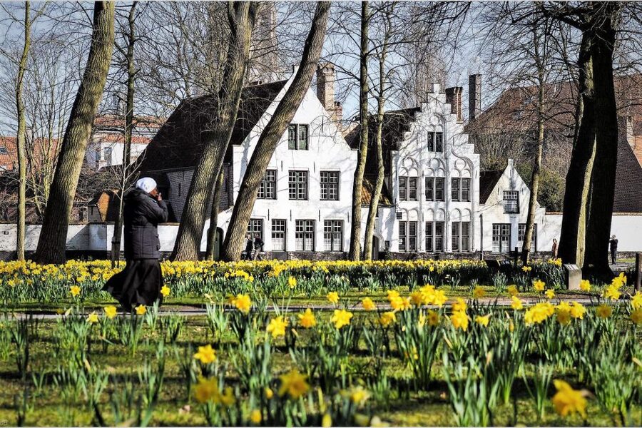 Bruges Beer and Chocolate Walking Tour - Starting at the Burg and City Hall: The Medieval Setup You Need