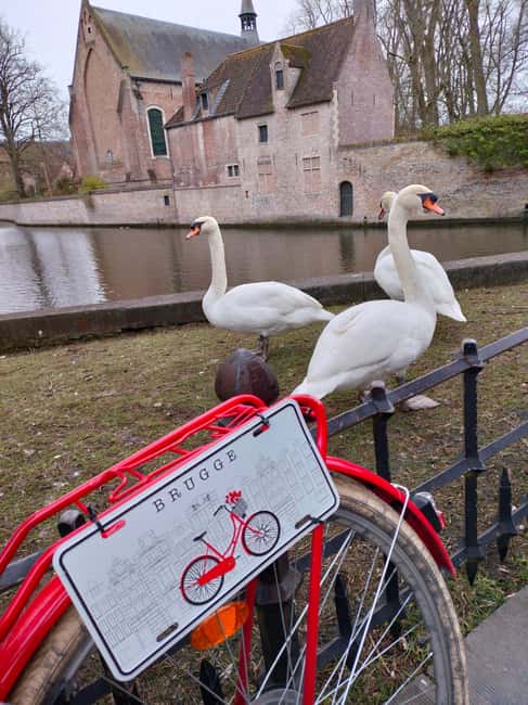 Bruges, Bike Tour with Chocolate Tasting & Hot Wine/Chocolat - Key Things You’ll Get From This Tour