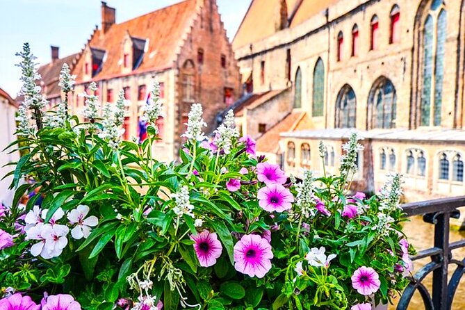 Bruges Delights - Best Tour Designed for Cruise Passengers - How the half-day timing works, and why 15-minute stops can be smart