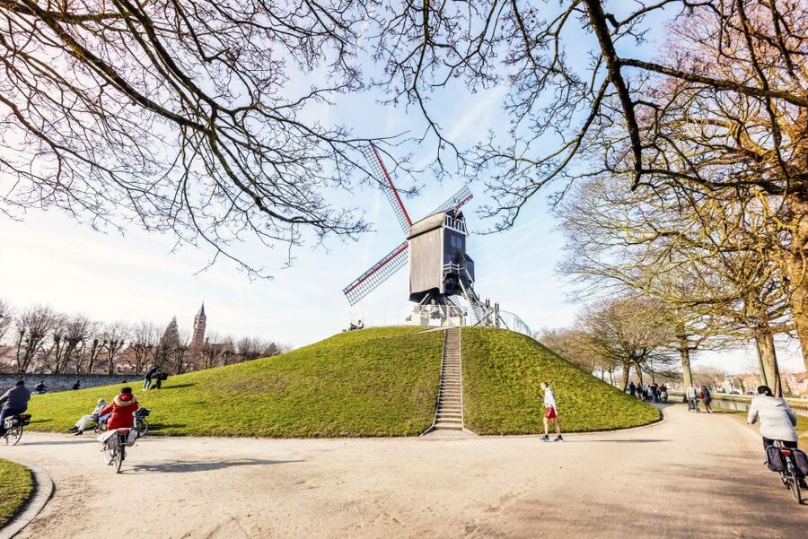 Bruges: Musea Brugge Card with Entry to 11 Museums - Key highlights you will actually feel on your feet