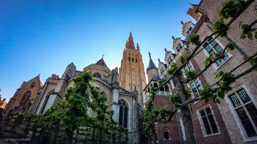 Bruges: Private Historical Highlights Walking Tour - The story tone: funny, factual, and not stiff