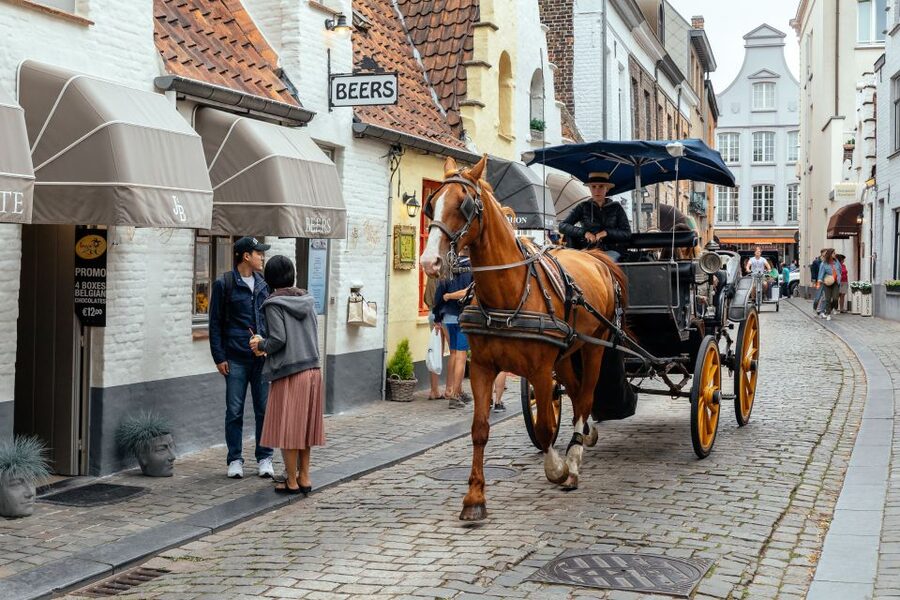 Bruges: Private Tour with Locals - Highlights & Hidden Gems - Private Group, English Guide, CO2 Offset, and What You Should Know