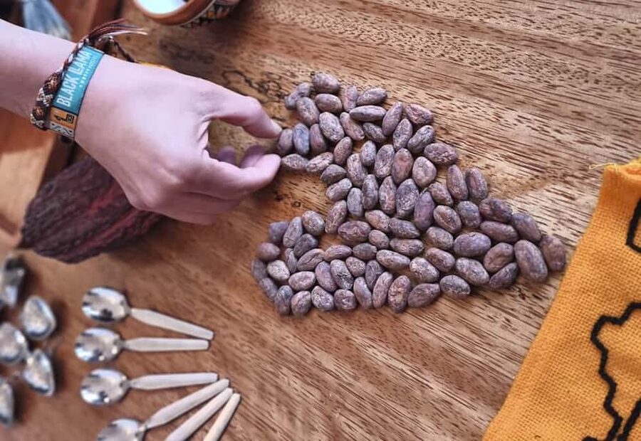 Brussels: 1h-Bean-to-Bar Chocolate Making Workshop - Making Your Own Chocolate Bars, Then Waiting for the Fridge Set