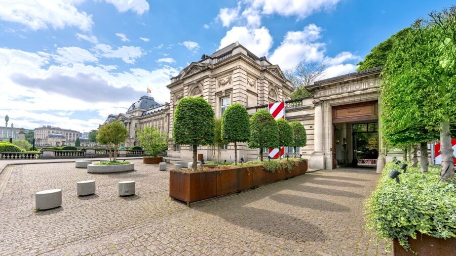 Brussels: BELvue Belgium History Museum Entry Ticket - The gallery of 200 objects: where Belgium turns practical