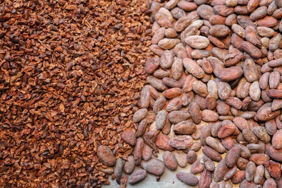 Brussels: Chocolate Appreciation and Tasting Walking Tour - Quick tips so you taste smarter, not just faster
