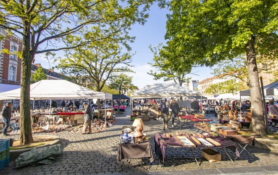 Brussels: Express Walk with a Local in 60 minutes - Key highlights in this 60 to 90 minute Brussels walk