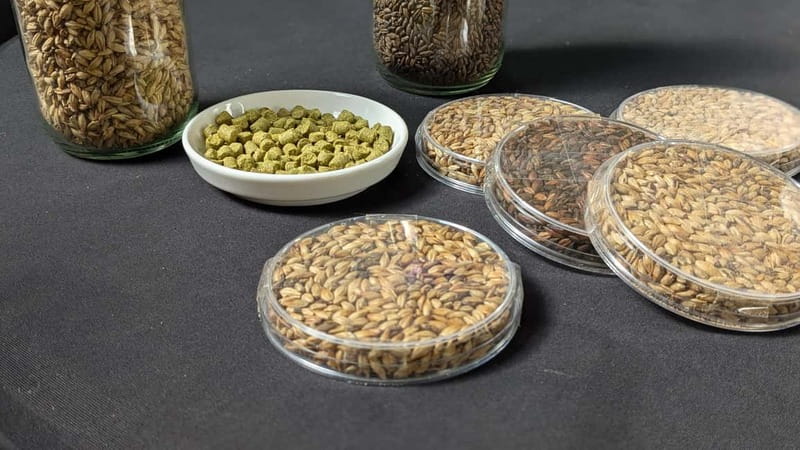 Brussels: micro brewery & distillery tour + beer tasting - Kids, Teens, and the Legal Beer Age Rule in Belgium