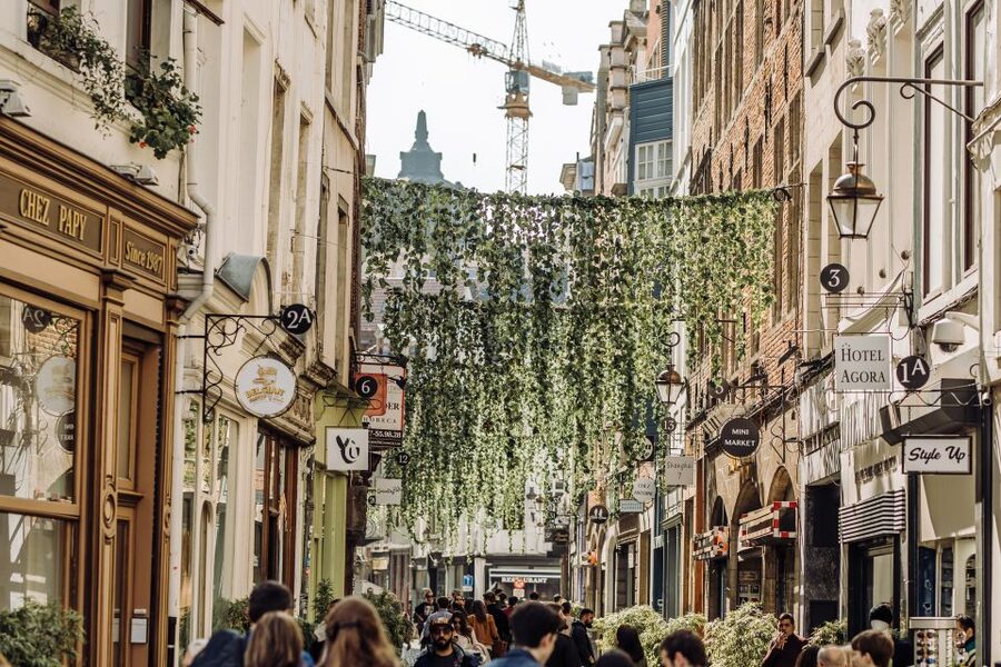 Brussels: Private & Custom Tour of the European Quarter - Optional EU visitor time: Parlamentarium and what to plan for