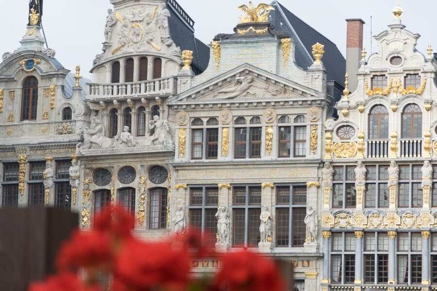 Brussels: Private Tour of the Upper and Lower City - Grand Place to Manneken Pis: the Lower City opener