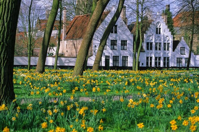 Brussels to Bruges: Private & Personalized Day Trip with a Local - Key highlights to look for in this Bruges day trip