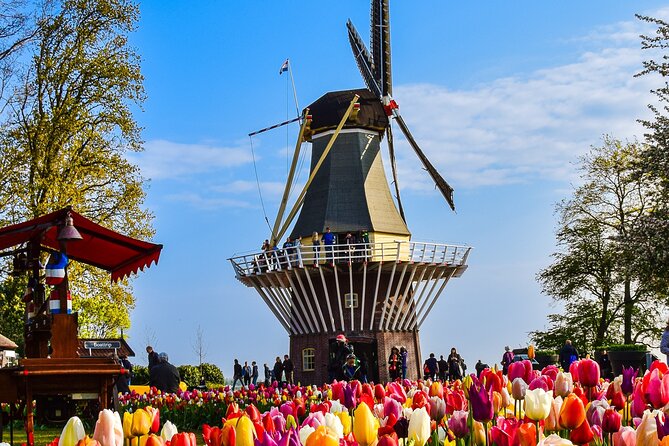 Delft and Keukenhof Gardens Tour from Brussels - Brussels to Delft and Keukenhof: what a 12-hour day really feels like