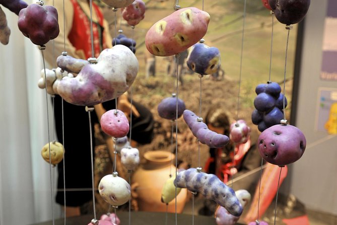 Frietmuseum Entrance Ticket - Ground floor: the potato backstory you will not expect to care about