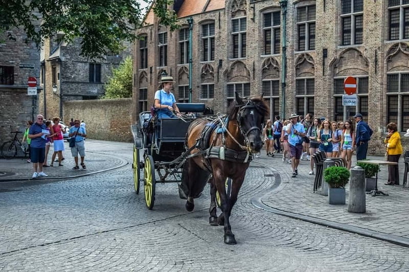 From Amsterdam: Private Sightseeing Tour to Bruges - The 3-Hour Drive Each Way: Why It Can Be Worth It