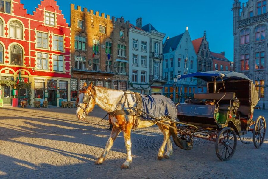 From Paris: Day Trip to Bruges with Optional Seasonal Cruise - Bruges from Paris: why this one-day format works