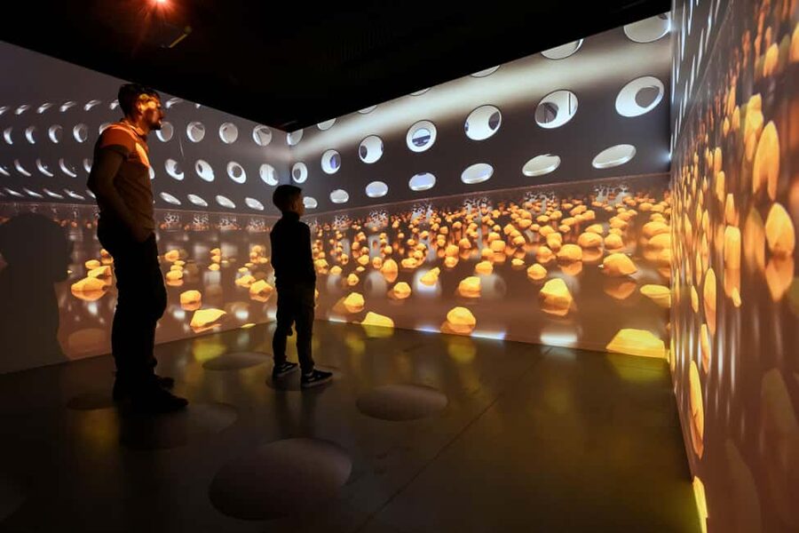 Heule: Chocolatier Vandenbulcke Chocolate Trail Tour - What you learn from the interactive displays (and why it matters)