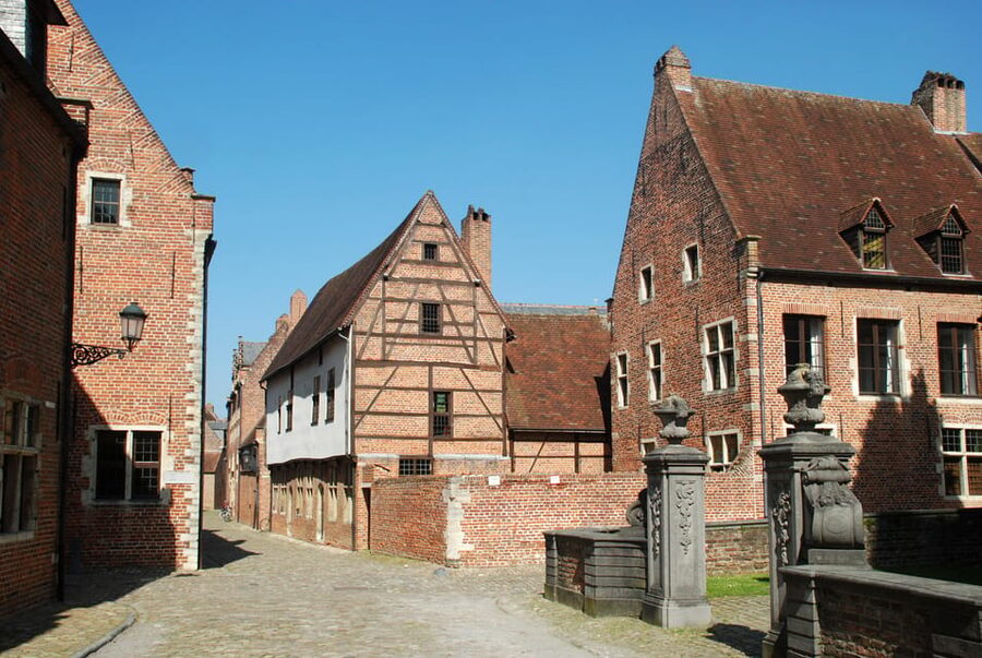 Historical Leuven: Private Walking Tour with a Local Guide - Key highlights you should know before you go