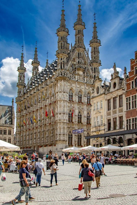Historical Leuven: Private Walking Tour with a Local Guide - Pacing and rain: what to expect and how to manage it