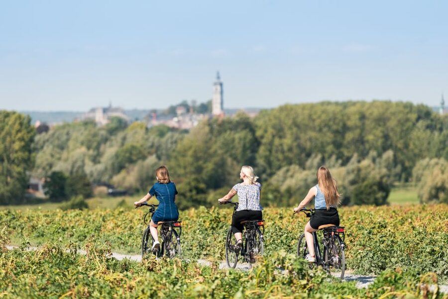 Mons : City Center Bike Rental for Sightseeing & Exploring - Price versus value: why $5 can be a great deal
