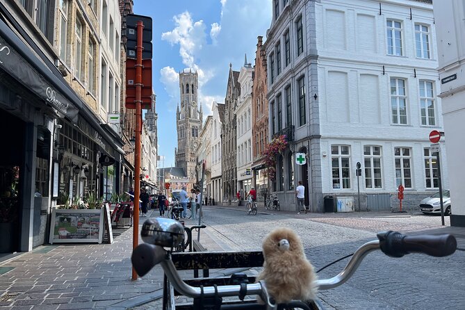 Private Full-Day Tour Bruges & Ghent from Brussels with tastings - Guide Quality and Personal Attention, Including Names You Might See