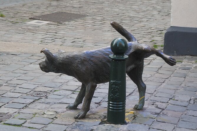 Private Half Day Tour of Brussels - The real value: a private guide who answers your questions and adjusts your pace