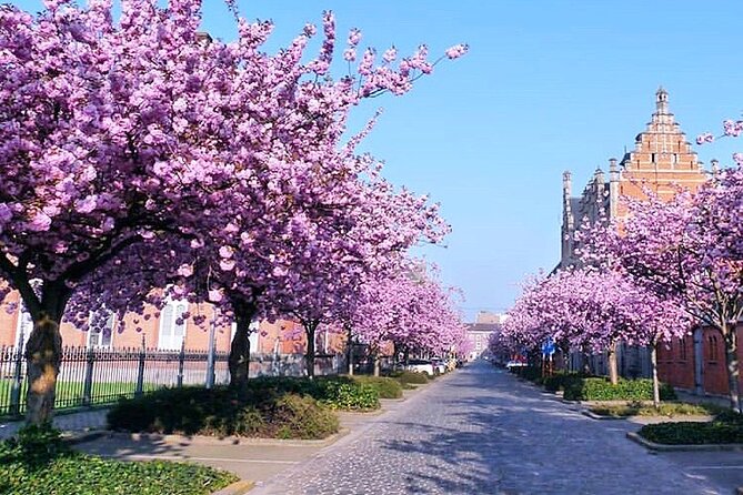 Private Hidden Gems Walking Tour in Ghent - Price and value: what $210.72 per person buys you in Ghent