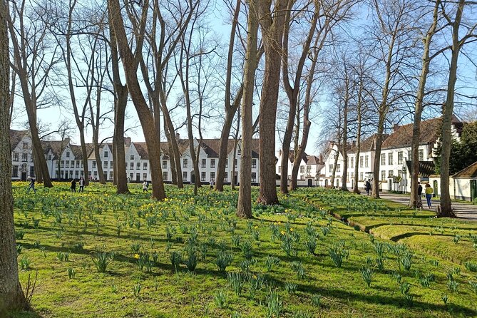 Private Highlights Walking Tour in Bruges - Private Group Experience: Why This Format Matters in Bruges