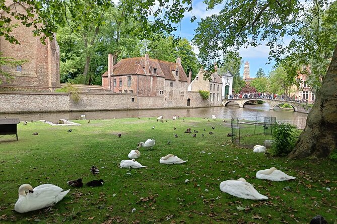 Private Highlights Walking Tour in Bruges - Price in Perspective: Is $150.03 Worth It?