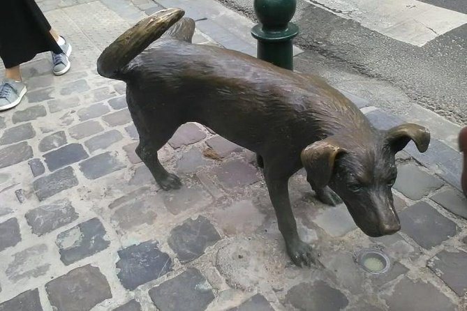 Private walking tour : Brussels historical city center Half Day - Royal Galleries Saint-Hubert and Place Saint-Gery for street-level wandering