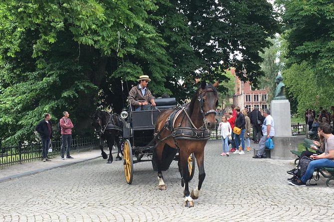 Round-Trip Shuttle Service from Zeebrugge to Bruges - Zeebrugge to Bruges, the Fast Track for a Cruise Day