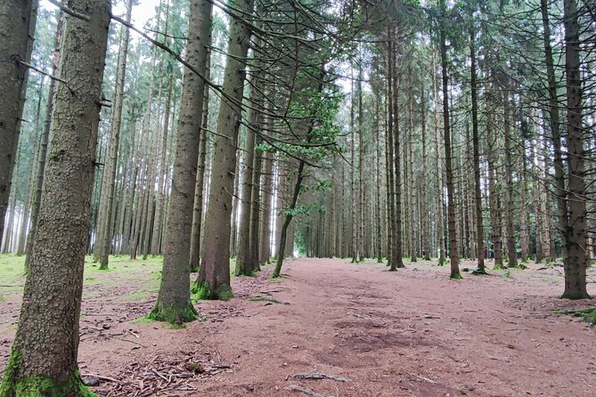 The Battle of the Bulge Experience - A day tour from Brussels - Bizory: the Misory nickname, Easy-Company, and monuments tied to the Spielberg and Tom Hanks donation
